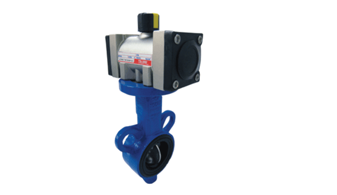 Actuator Valve