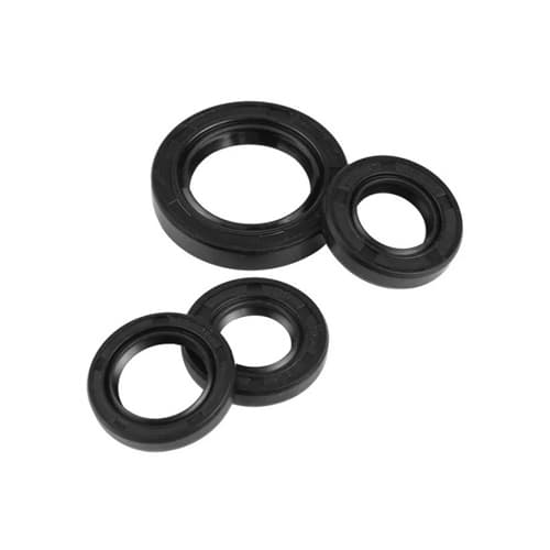 TC260x300x20 Ridena oil seal